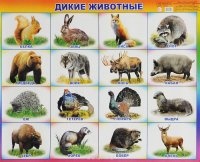 Плакат-Правила Дорожного движения и Дикие животные