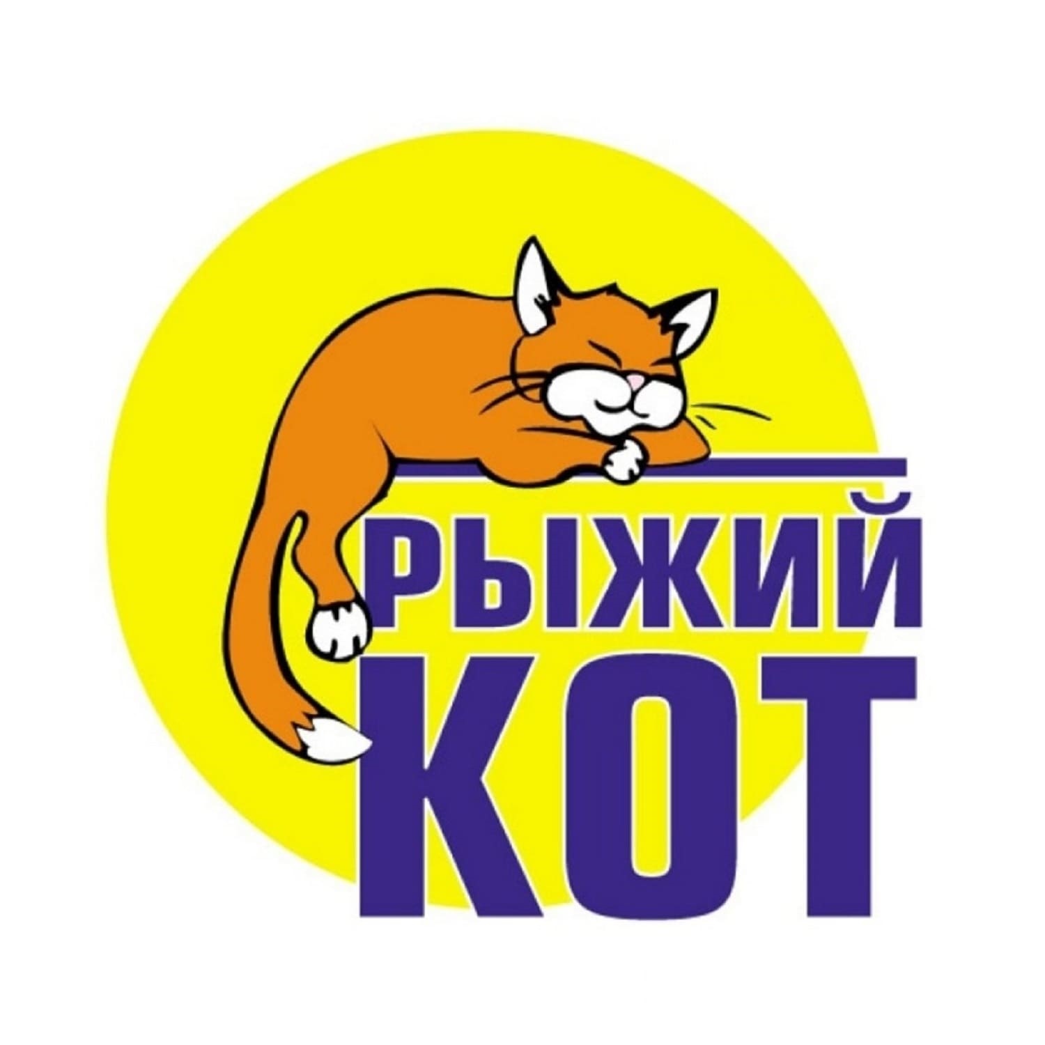 Рыжий кот