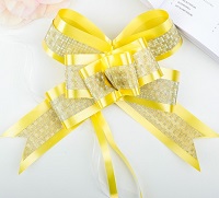 Бант-бабочка №5 с полосой, жёлтый 1028053