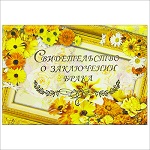 332 Ранец трансформер "Мой питомец" (ящ 48 шт)