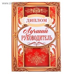 Диплом "Лучший руководитель", 15,2 х 21,5 см   2889292