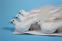 Голубь ТН06617 (12 шт)