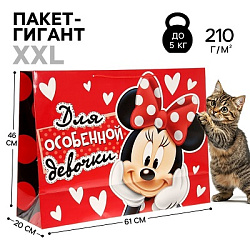 Пакет ламинат XL "Для особенной девочки",61 х46 см 1123137