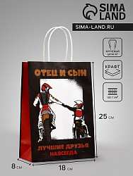Пакет подарочный крафт «Отец и сын», 18×8×25 см