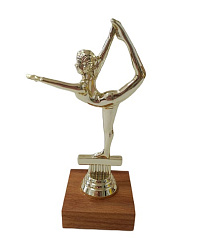 Кубок 223рыбак/гимнаст.357/хоккей 189