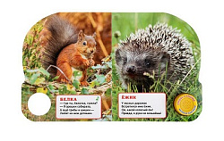 Лесные животные. Дружинина (1 кн. 3 пес.) 152х185мм, 8стр Умка в кор.40шт