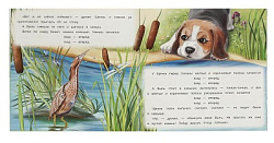 Хитрый Лис и Умная Уточка. Бианки В. В. Рассказы о животных. 210х210 мм. 16 стр. Умка в кор.50шт