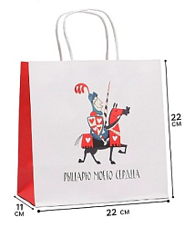 Пакет подарочный, упаковка, «Рыцарю», 22 х 22 х 11 см