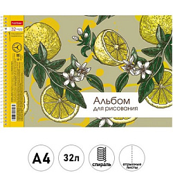 Альбом А4 32л спираль " Hatber " Выпуск №4 (ассорти), обложка - мелованный картон, отрывные листы, 5