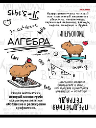 TM Prof-Press Тетрадь КЛЕТКА 48л. АЛГЕБРА «КАПИБАРА» (48-0031) стандарт, тиснение лён
