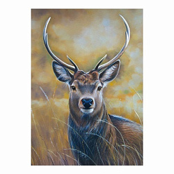 Алмазные узоры. Молодой олень. 30*40см арт.07282
