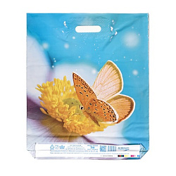 Пакет "Мгновения", полиэтиленовый с вырубной ручкой, 37*45 см, 60 мкм 10346738