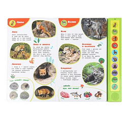 Лесные жители Степанов В.А. (10 зв. кнопок) 233х302мм 10стр Умка в кор.24шт