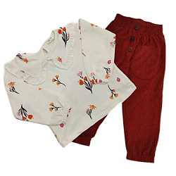 Комплект для девочки 1095