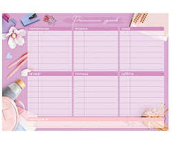 Магнитный планер расписание уроков с маркером А4 ArtSpace "Пиши-Стирай. Любимый урок"