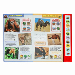 387661 Дикие животные Степанов В.А. (10 зв. кнопок) 233х302мм 10стр Умка в кор.24шт