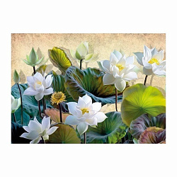 Алмазные узоры. Цветущий лотос. 30*40см арт.07303