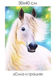 Алмазные узоры. Сила и грация. 30*40см арт.07300