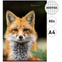 Тетрадь КЛЕТКА 80л. А4 ПЯТНИСТЫЙ НОСИК (Т80-2256) (цвет.мелов.обл)