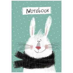 Записная книжка МАЛЫЙ ФОРМАТ А6 спираль 40л " ПЗБМ " Микс 5, клетка, обложка - мелованный картон, ти