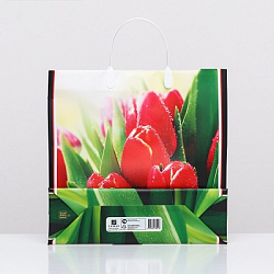 Пакет "Чудесные тюльпаны", мягкий пластик, 30 х 30 см 100 мкм 9568861