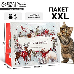 Пакет подарочный новогодний ламинированный «С Новым годом», XL 49×40×19 см