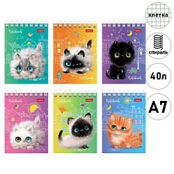 Блокнот МАЛЫЙ ФОРМАТ А7 спираль  40л " Hatber " Кошарики, клетка, обложка - мелованный картон, 6 диз