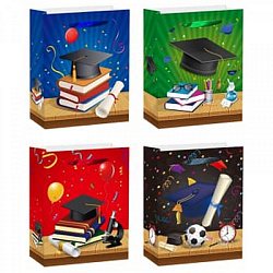 Пакет ШКОЛА 30*41.5*12см арт.WB-14440L (1/12/360шт)