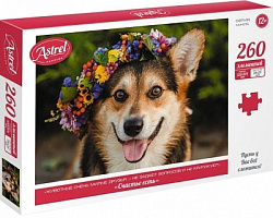 Астрель.Пазл.260Эл. Счастье есть.06819