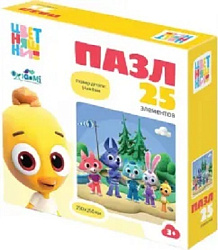 Цветняшки. Пазл. 25эл. Активный отдых. 07462