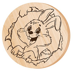 Дощечка для выжигания "Зайка" (круг 130 мм, конверт) арт.04725