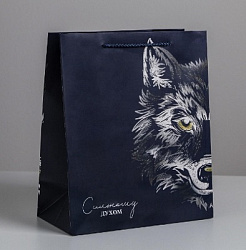 Пакет подарочный ламинированный вертикальный, упаковка, «Сильному духом», ML 23 х 27 х 11,5 см