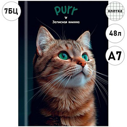 ЗАПИСНАЯ КНИЖКА А7 48л. ЗЕЛЕНОГЛАЗЫЙ КОТИК - 1 (48-8633) перепл. 7БЦ, глянц. ламинация
