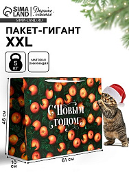 Пакет новогодний ламинированный подарочный «С Новым годом», XXL 61×46×20 см