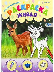 Раскраска А4 МИЛЫЕ МАЛЫШИ (Р-0100) 8л, обл.-целл.карт, уф-лак, бл-офс,полноцв, скрепка, 198х260