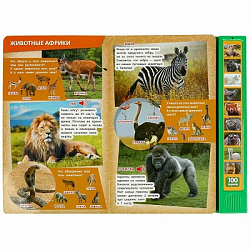 381844 100 голосов животных (10 зв.кнопок, 100 звуков) 233х302мм 10 стр Умка в кор.24шт
