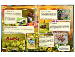 256781   "УМКА". НАСЕКОМЫЕ (ЭНЦИКЛОПЕДИЯ А4). ТВЕРДЫЙ ПЕРЕПЛЕТ. БУМАГА МЕЛ., 48 стр., 197Х255 ММ. в 