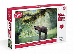 Астрель.Пазл.1000Эл. Момент. 07775