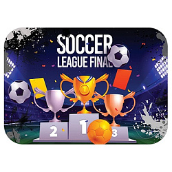 Настольное покрытие для лепки " Пчелка " 430*320мм Футбольная лига