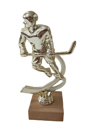 Кубок 223рыбак/гимнаст.357/хоккей 189