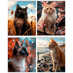 TМ"Remix"Тетрадь КЛЕТКА 96л. КОТЫ И ПРИРОДА (96-9531) обл- мелов.картон, второй блок