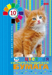 Бумага цветная А4 самоклеющаяся 10л 10цв " Hatber " Пушистый котенок, в папке, 194*280мм