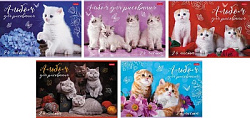Альбом А4 24л " Hatber " Кототерапия (ассорти), на скобе, обложка - мелованный картон, блок -офсет- 