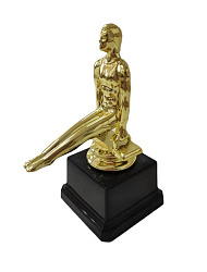 Кубок  357 Гимнастика