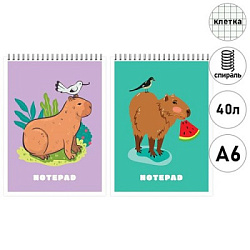 Блокнот МАЛЫЙ ФОРМАТ А6 спираль сверху 40л " Академия Групп " Капибара, клетка, обложка - мелованный