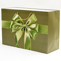 Пакет БАНТ 60*40*22см арт.583 (1/12/180шт)