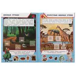 Животные. Буба. Учись! Играй! Развивайся! 3в1 + наклейки! 210х285мм. Скрепка. 8стр. Умка в кор.50шт