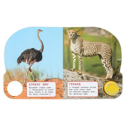 Животные африки. Степанов В.А. (1 кн. 3 пес.) 152х185мм, 8стр Умка в кор.40шт