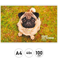 Альбом А4 40л " Эксмо " Взгляд мопса, на скобе, обложка - мелованный картон, блок- офсет 100г/м2