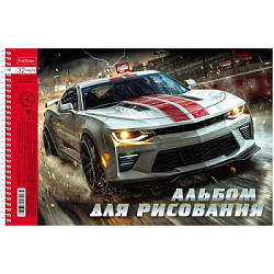 Альбом А4 32л спираль " Hatber " Выпуск №4 (ассорти), обложка - мелованный картон, отрывные листы, 5